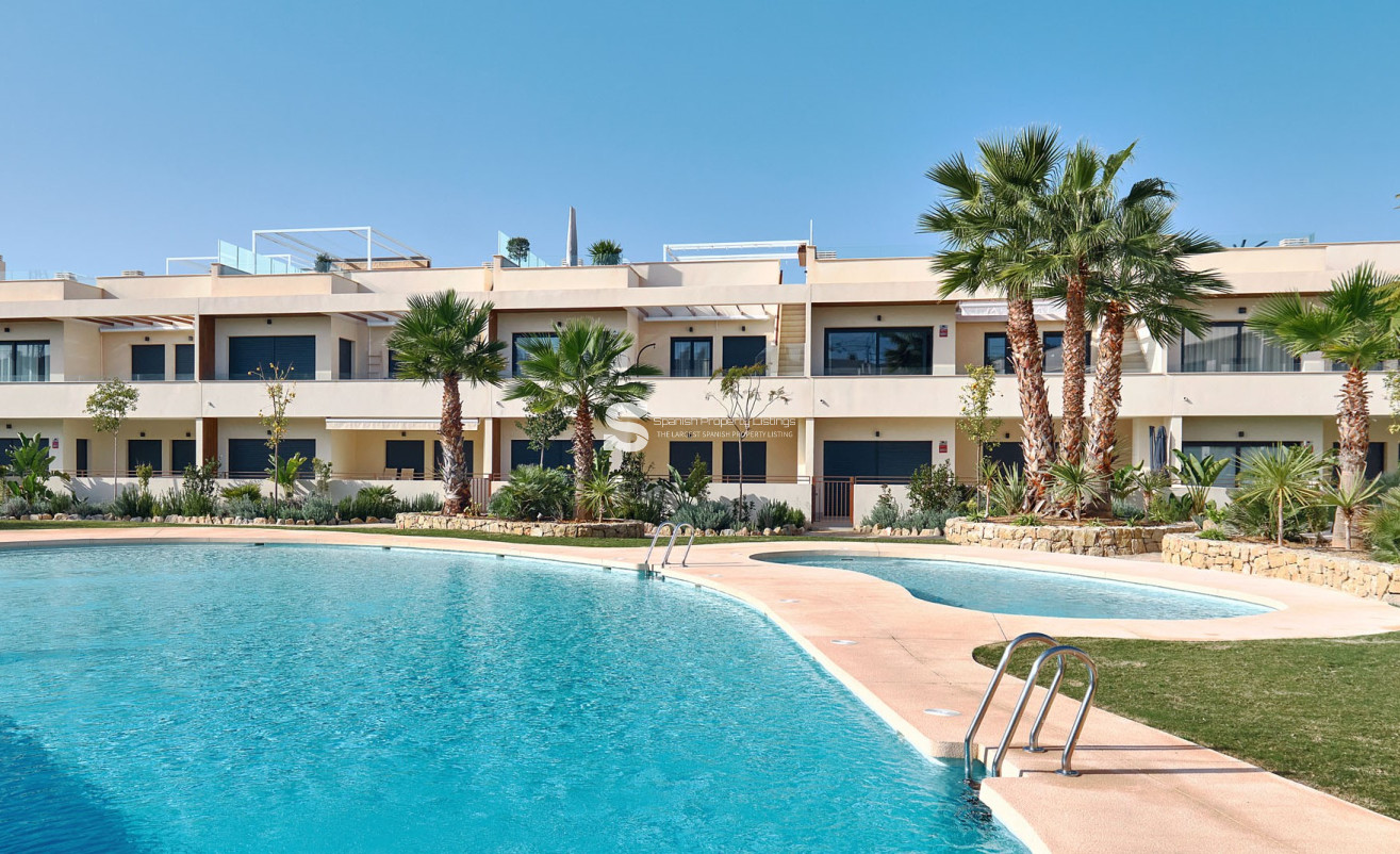 Obra nueva - high-bungalow - Torrevieja