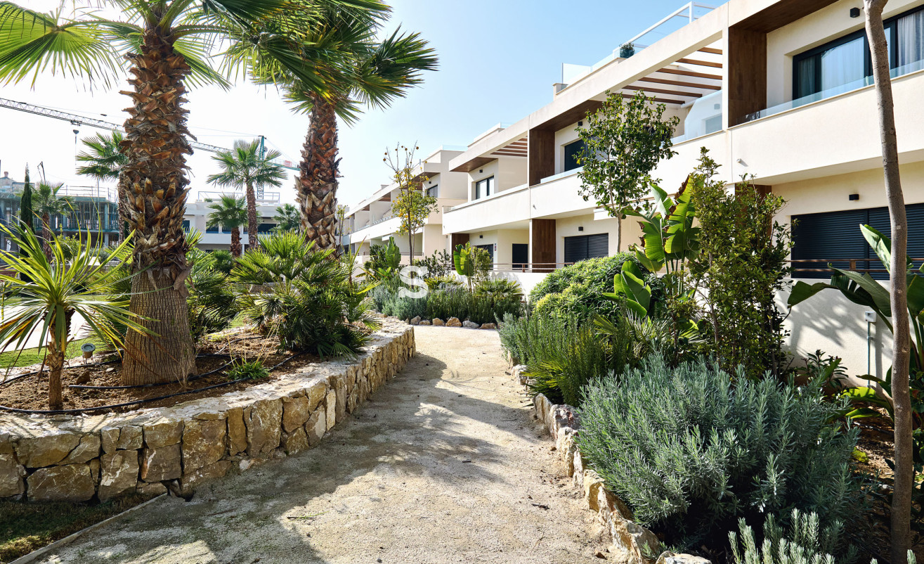 Obra nueva - high-bungalow - Torrevieja