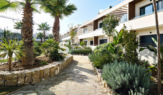 Obra nueva - high-bungalow - Torrevieja