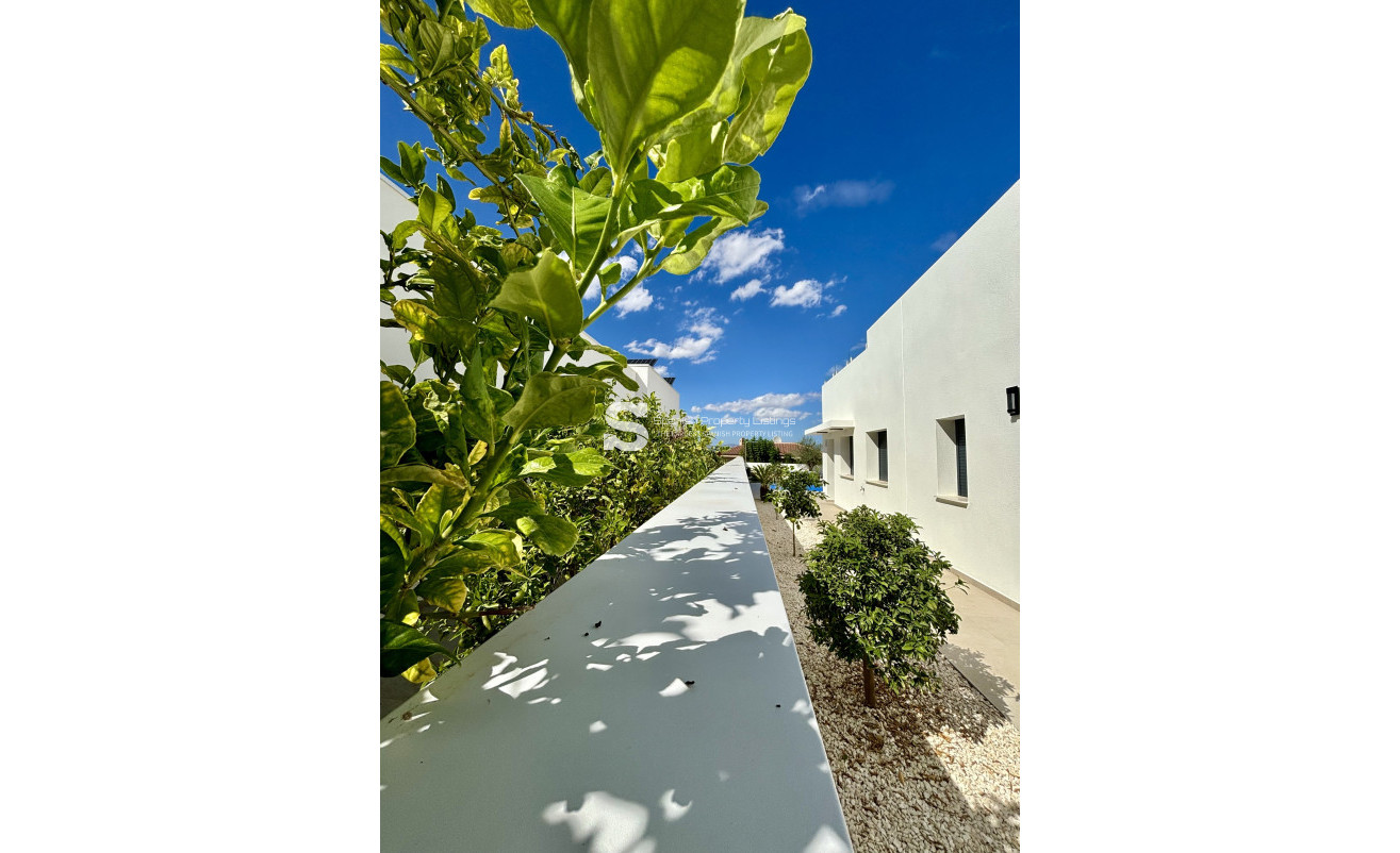 New Build - detached - Benijofar