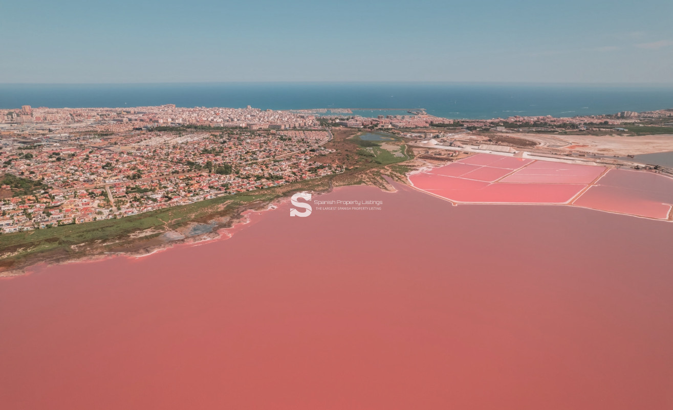 Nouvelle construction - low-bungalow - Torrevieja