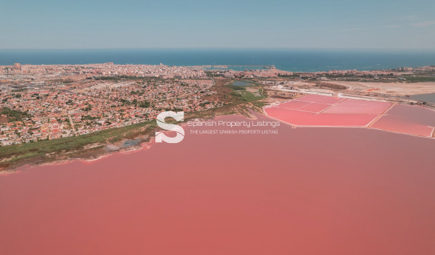 Obra nueva - high-bungalow - Torrevieja