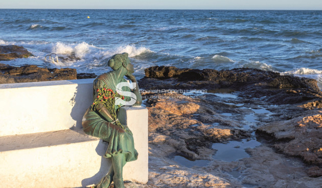 Obra nueva - high-bungalow - Torrevieja