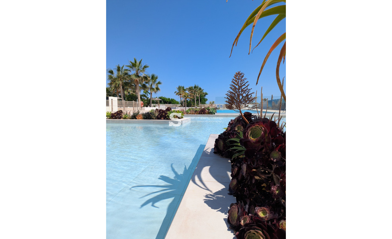 New Build - Penthouse - Denia - Dénia