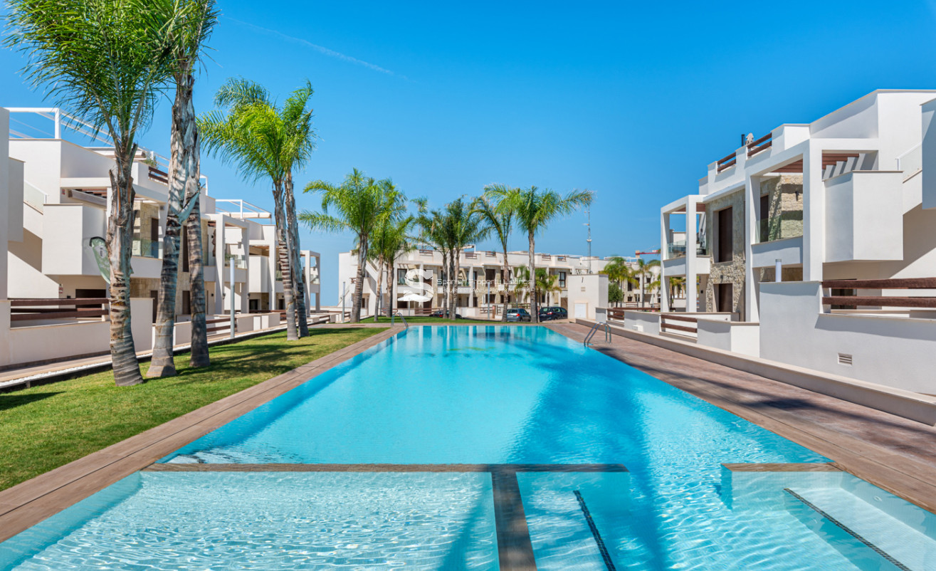 Obra nueva - low-bungalow - Torrevieja