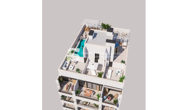 Obra nueva - Ático - Torrevieja