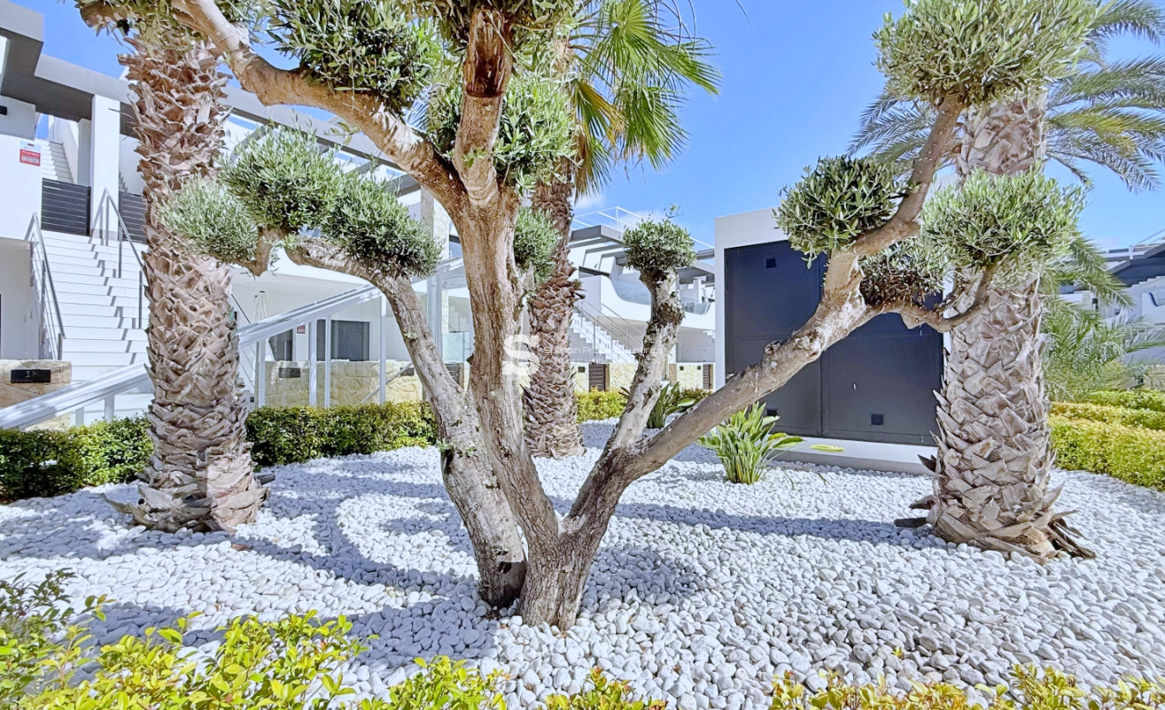 Reventa - Ático - Orihuela Costa - Punta Prima