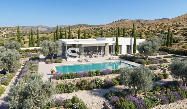 Nouvelle construction - Villa - Pinoso - Casas Pastor