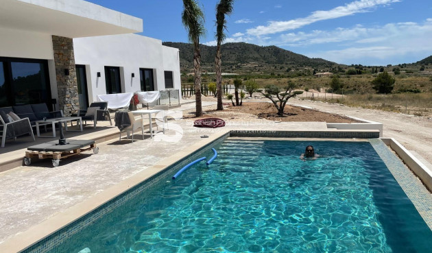 Nouvelle construction - Villa - Pinoso - Casas Pastor