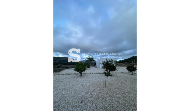 Nouvelle construction - Villa - Pinoso - Casas Pastor