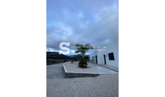 Nouvelle construction - Villa - Pinoso - Casas Pastor