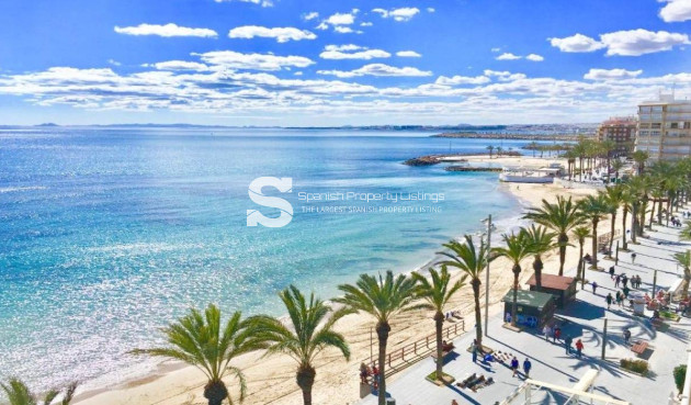 Nouvelle construction - Villa - Torrevieja - Lago Jardín II