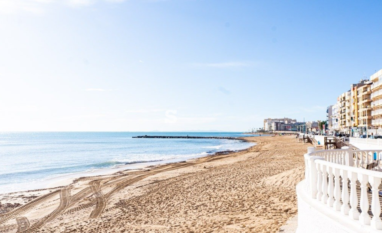 Nouvelle construction - Villa - Torrevieja - Lago Jardín II