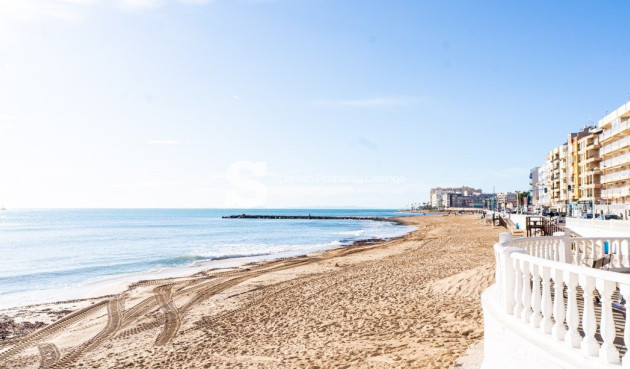 Nouvelle construction - Villa - Torrevieja - Lago Jardín II