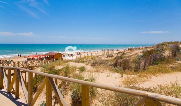 Nouvelle construction - Apartment - Guardamar del Segura - Pueblo