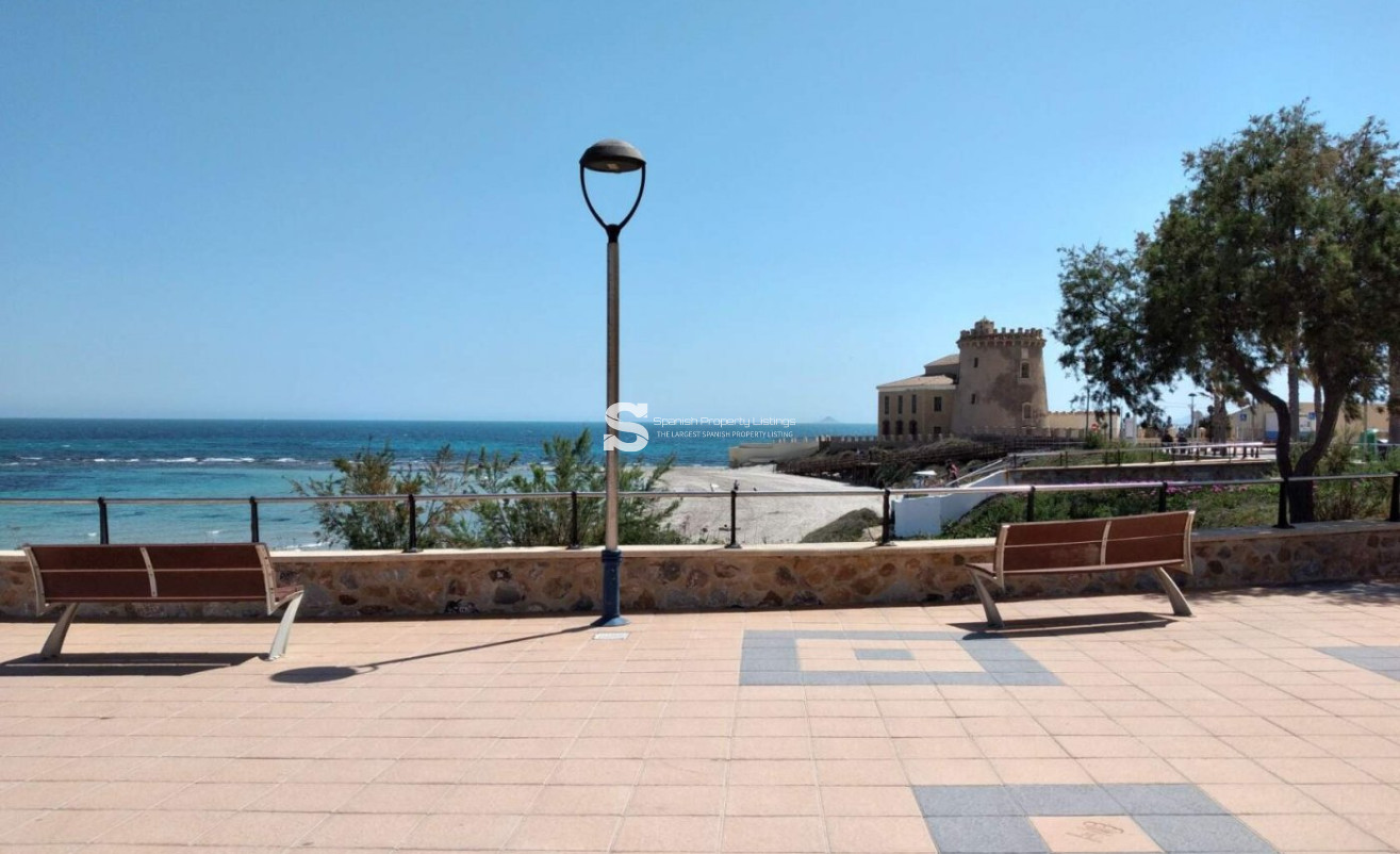 New Build - Villa - Pilar de la Horadada - Las Higuericas