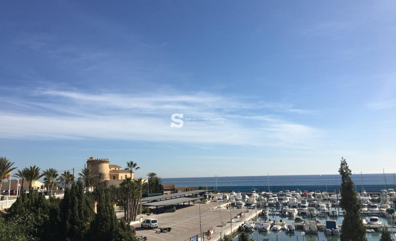 New Build - Villa - Pilar de la Horadada - Las Higuericas