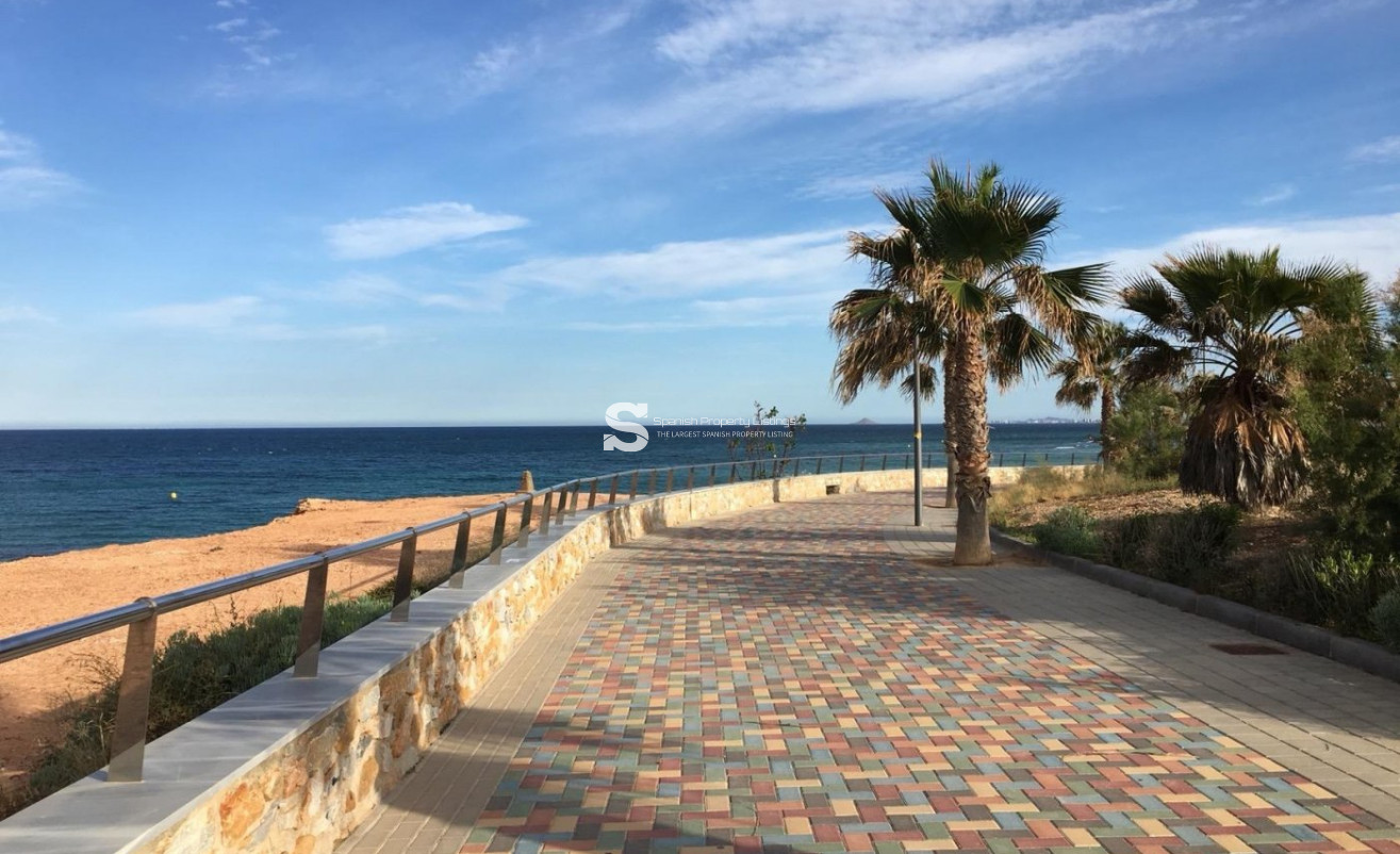 New Build - Villa - Pilar de la Horadada - Las Higuericas