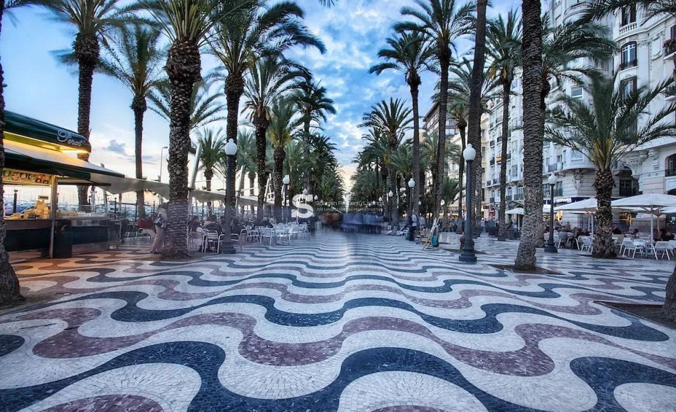 New Build - Apartment - Alicante - Benalua