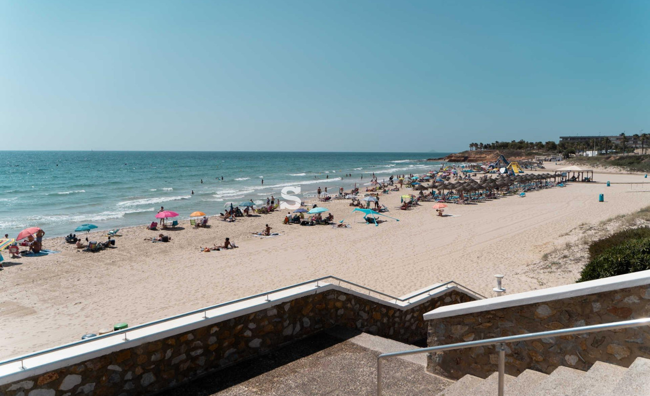 New Build - Villa - Pilar de la Horadada - Riomar