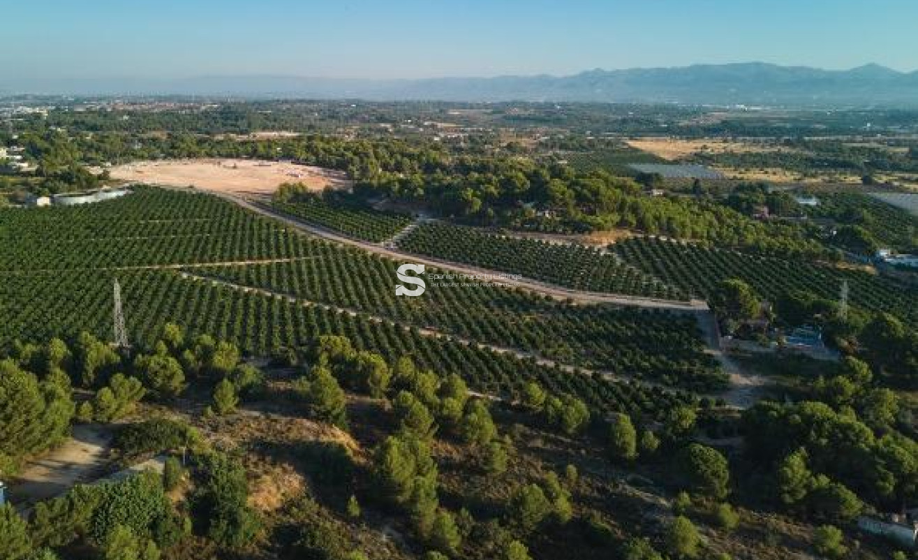 New Build - Villa - Godella - Campolivar