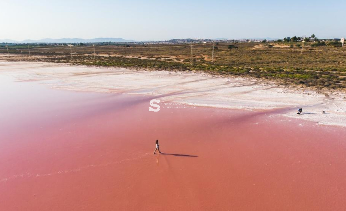 Obra nueva - Ático - Torrevieja - Habaneras