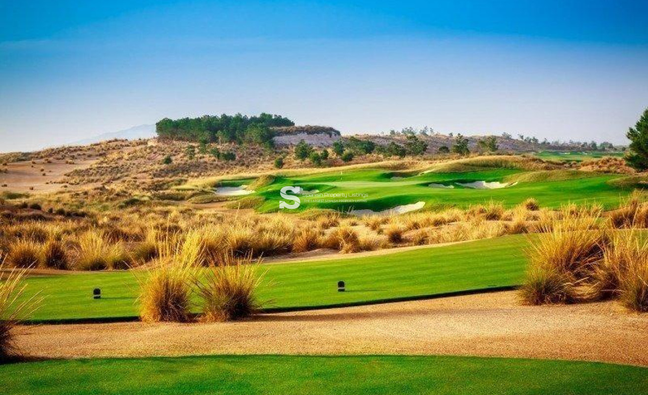 Obra nueva - Villa - Alhama De Murcia - Condado De Alhama