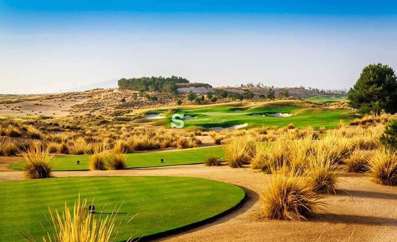 Obra nueva - Villa - Alhama De Murcia - Condado De Alhama