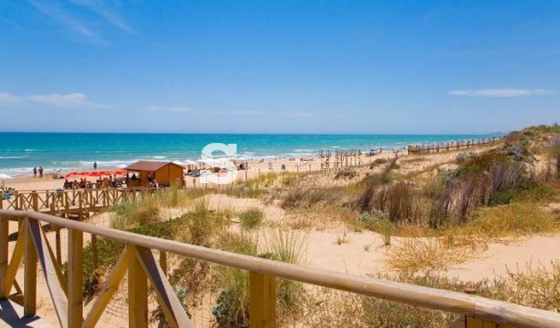 New Build - Villa - Benijofar - Pueblo