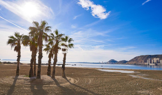 New Build - Villa - Els Poblets - Partida Barranquets