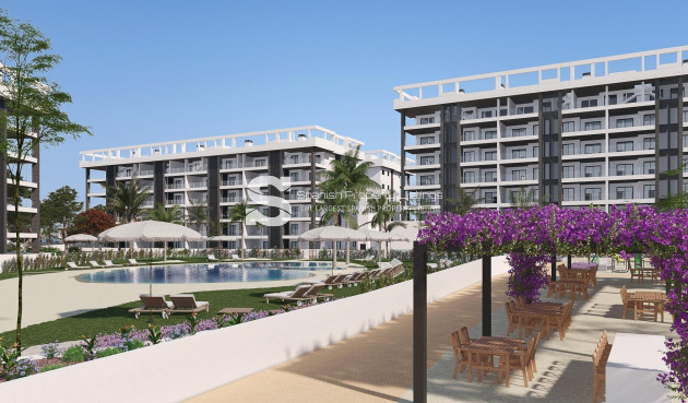 Obra nueva - Ático - Torrevieja - Torreblanca