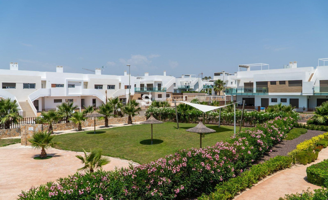 Obra nueva - Town House - Orihuela - Vistabella Golf