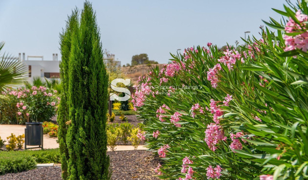 Obra nueva - Town House - Orihuela - Vistabella Golf