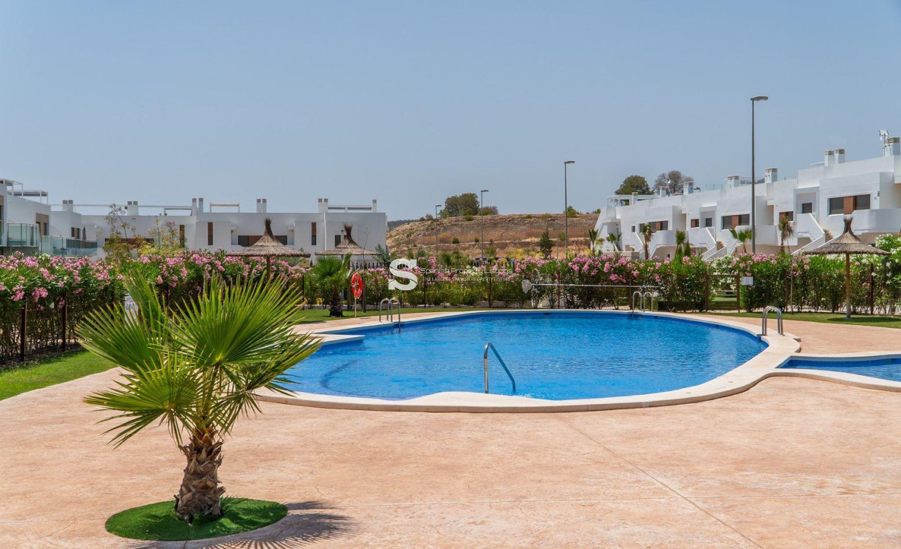 Obra nueva - Town House - Orihuela - Vistabella Golf