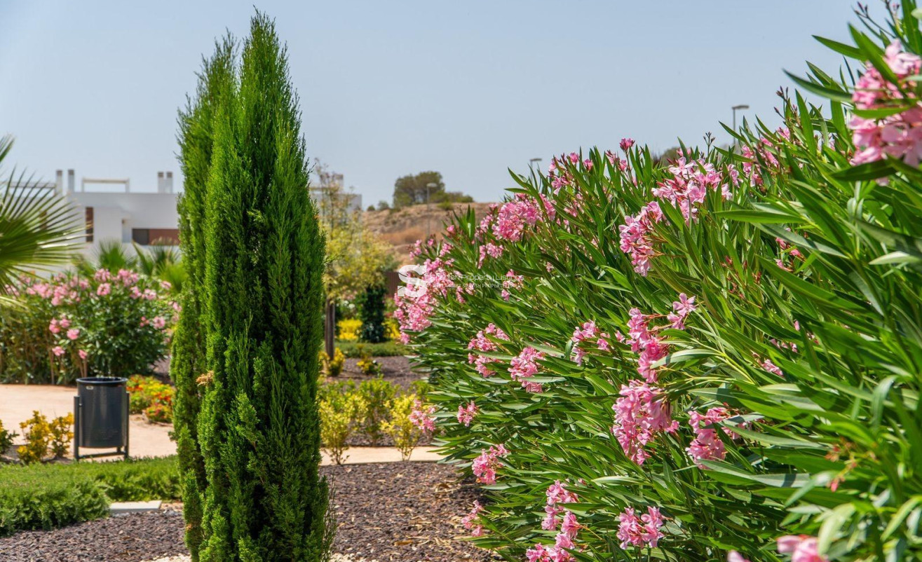 New Build - Bungalow - Orihuela - Vistabella Golf