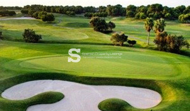 New Build - Villa - Pilar de la Horadada - Lo Romero Golf