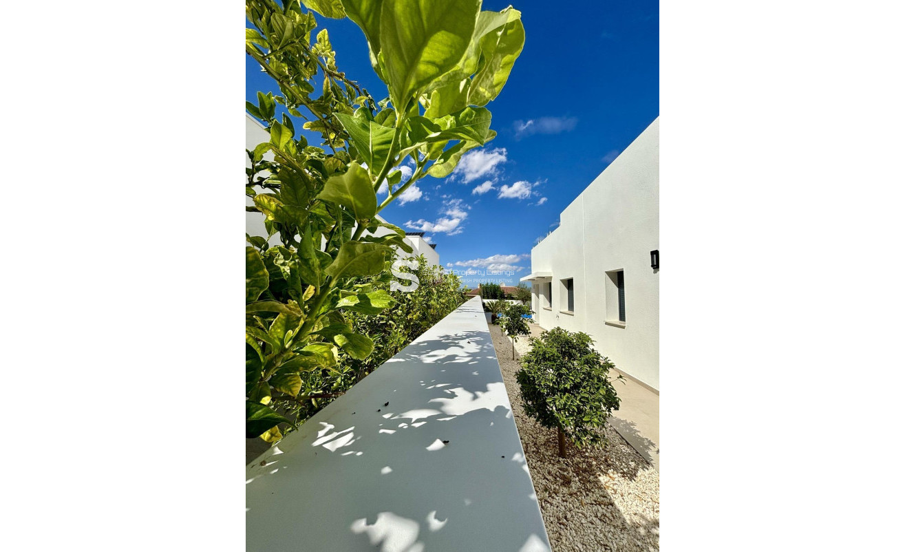 New Build - Villa - Benijofar - Pueblo