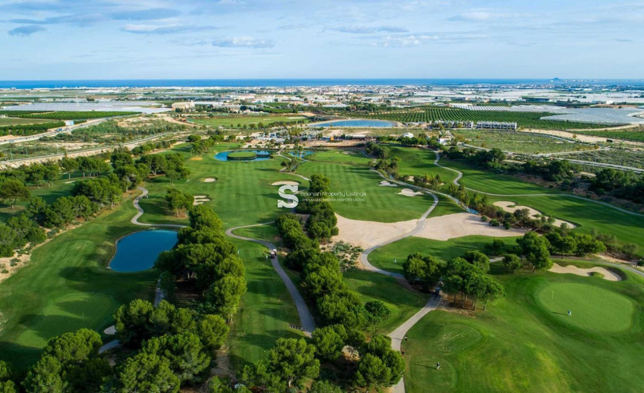 Obra nueva - Villa - Pilar de la Horadada - Lo Romero Golf