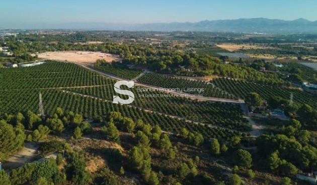 New Build - Villa - Godella - Campolivar