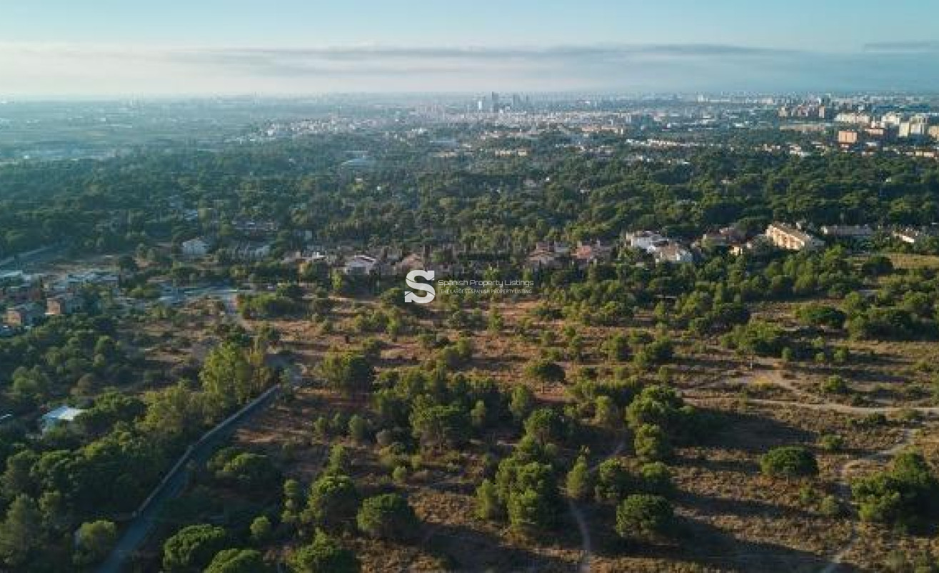 New Build - Villa - Godella - Campolivar