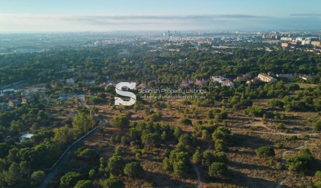 New Build - Villa - Godella - Campolivar