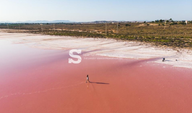 New Build - Apartment - Torrevieja - Playa de El Cura