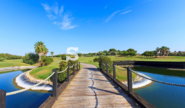 New Build - Villa - Pilar de la Horadada - Lo Romero Golf