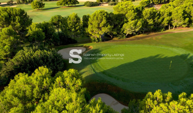 New Build - Villa - Pilar de la Horadada - Lo Romero Golf