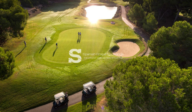 New Build - Villa - Pilar de la Horadada - Lo Romero Golf