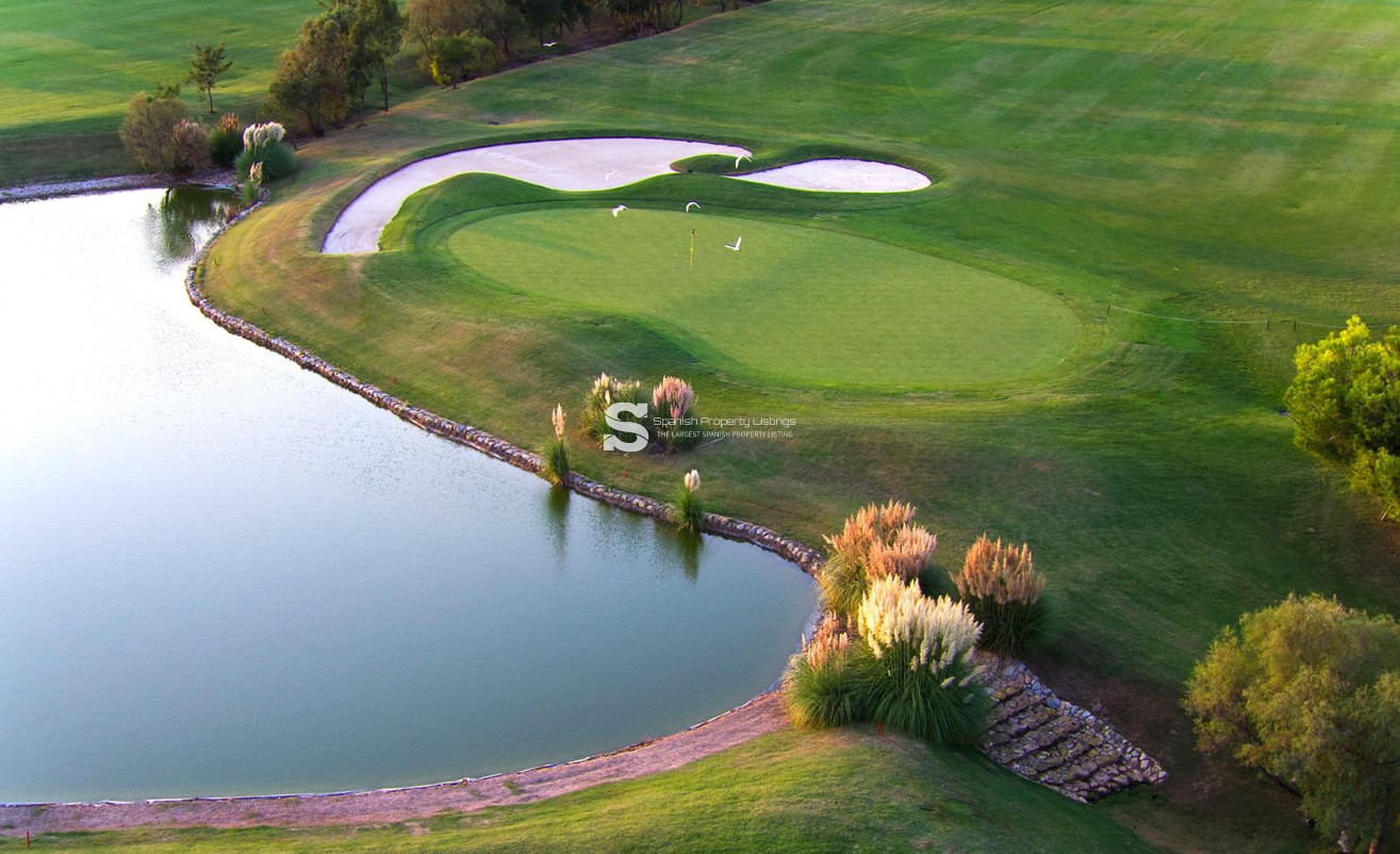 New Build - Villa - Pilar de la Horadada - Lo Romero Golf