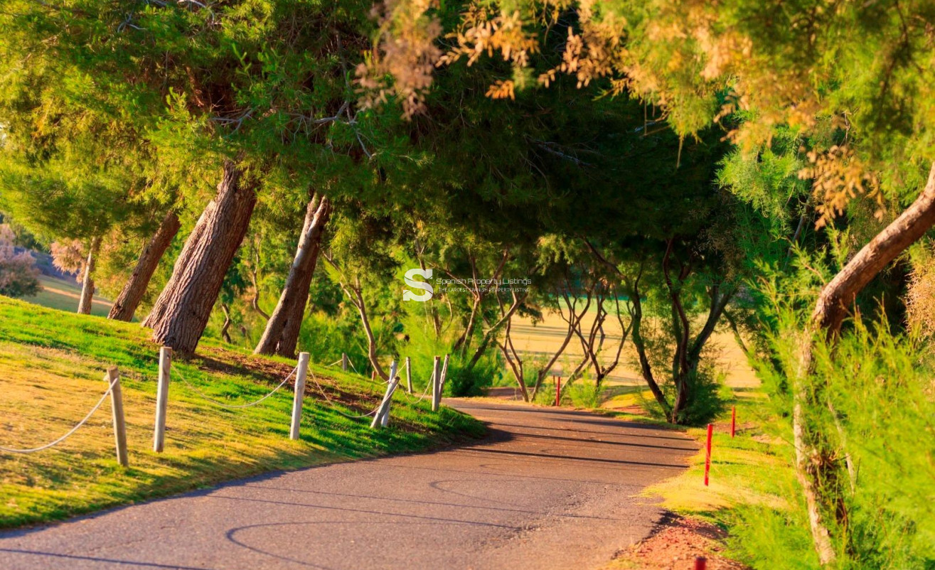 New Build - Villa - Pilar de la Horadada - Lo Romero Golf