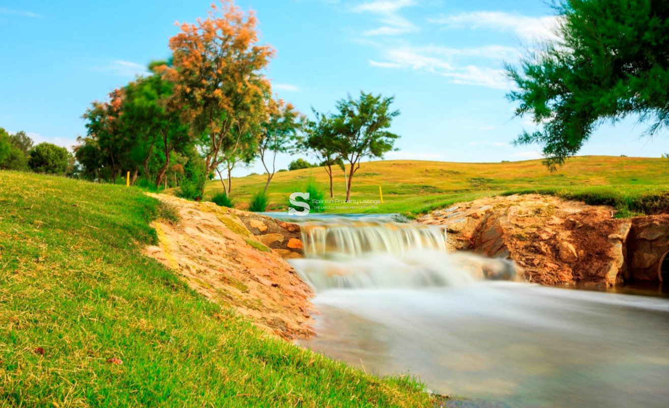 New Build - Villa - Pilar de la Horadada - Lo Romero Golf