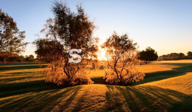 New Build - Villa - Pilar de la Horadada - Lo Romero Golf