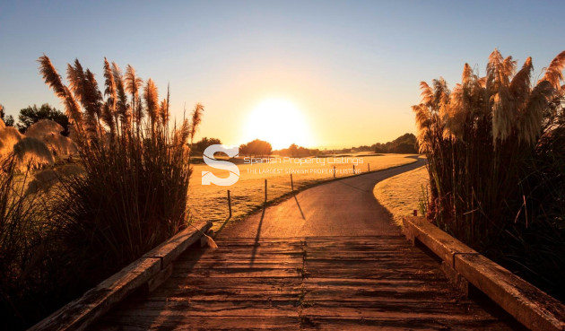 New Build - Villa - Pilar de la Horadada - Lo Romero Golf